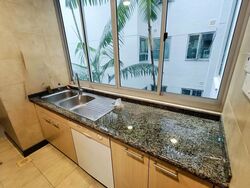 The Tessarina (D10), Condominium #496348821